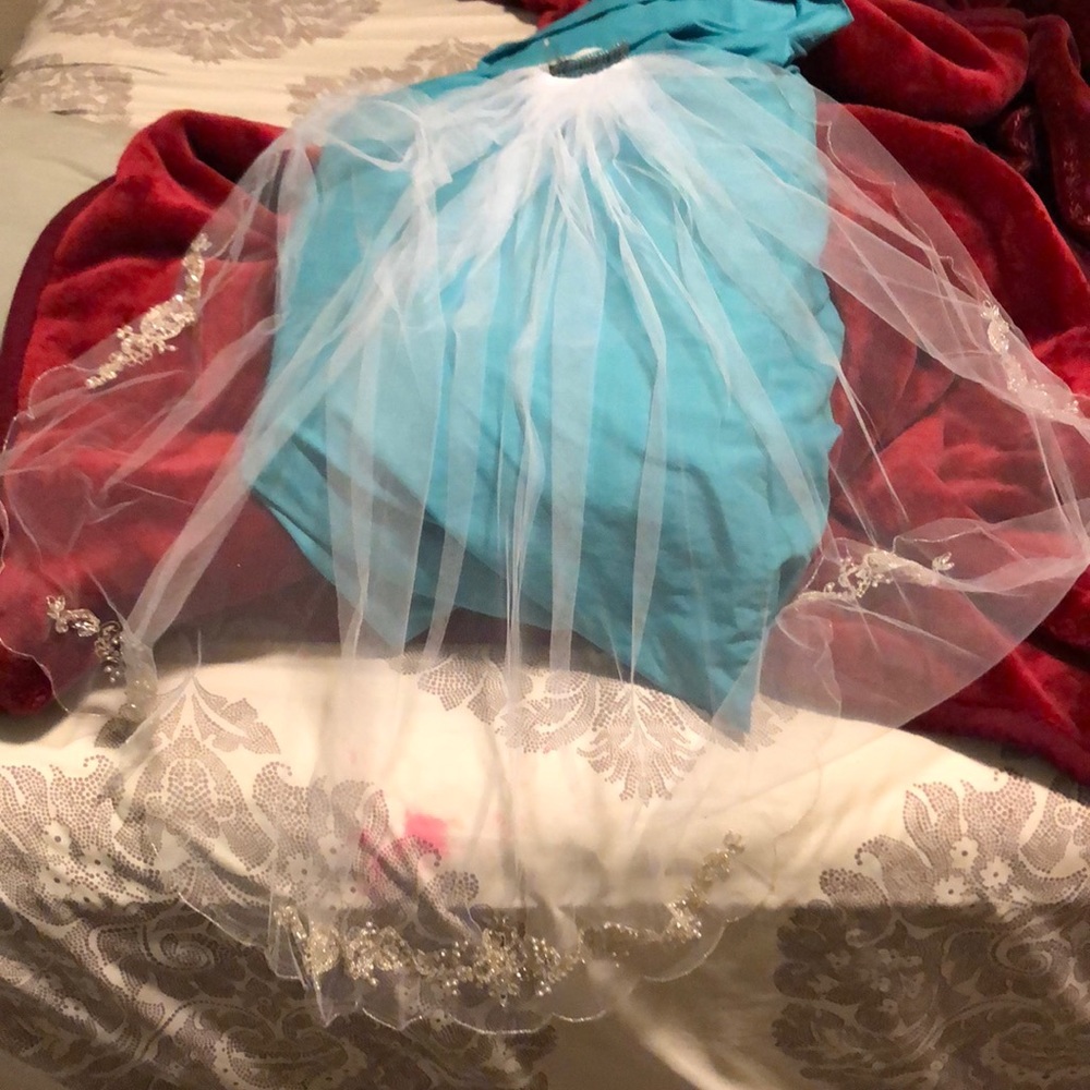 BNWT- Never worn veil with gold accents